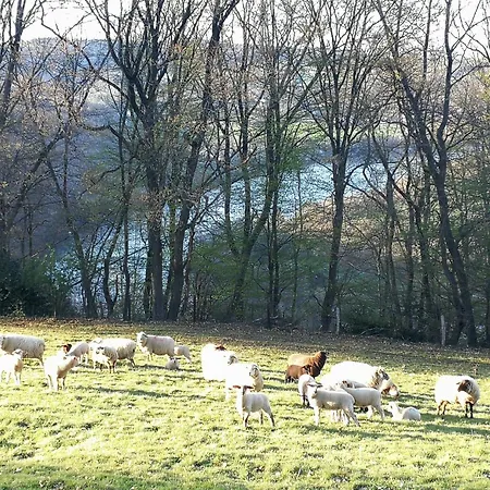 Burgberghaus Talaue 1.og Bergstein