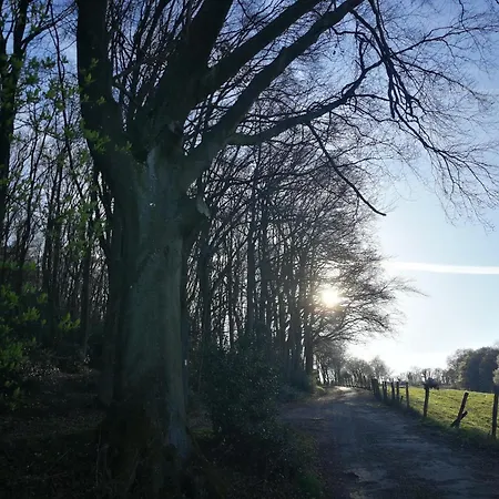 度假居 Burgberghaus Talaue 1.og Bergstein