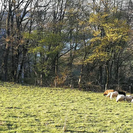 Prázdninový dům Burgberghaus Talaue 1.og *