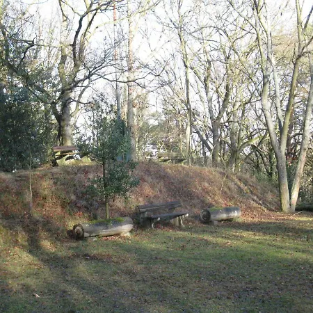 Burgberghaus Talaue 1.og Prázdninový dům Bergstein