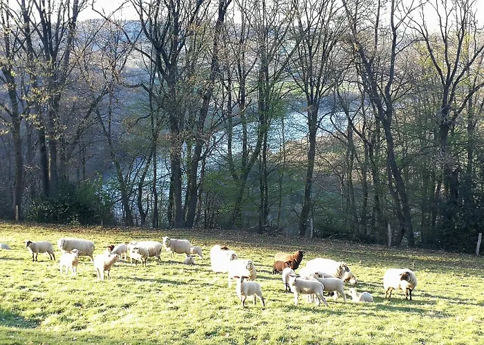 Burgberghaus Talaue 1.og Bergstein