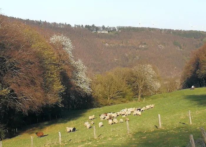 Burgberghaus Talaue 1.og 度假居 Bergstein