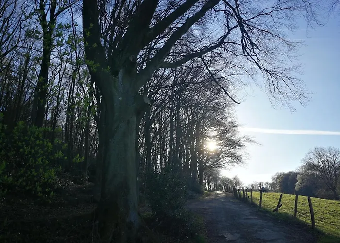 度假居 Burgberghaus Talaue 1.og Bergstein