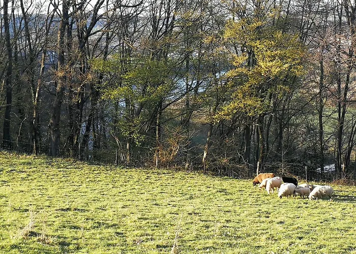 度假居 Burgberghaus Talaue 1.og *