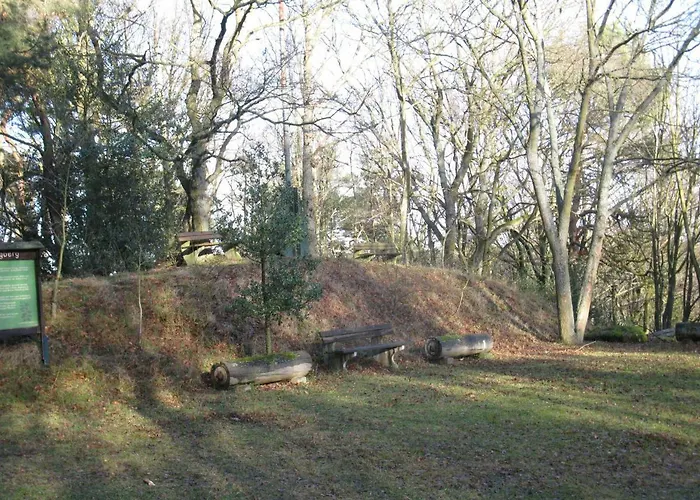 Burgberghaus Talaue 1.og 度假居 Bergstein